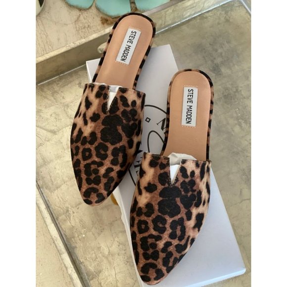 leopard print mules steve madden